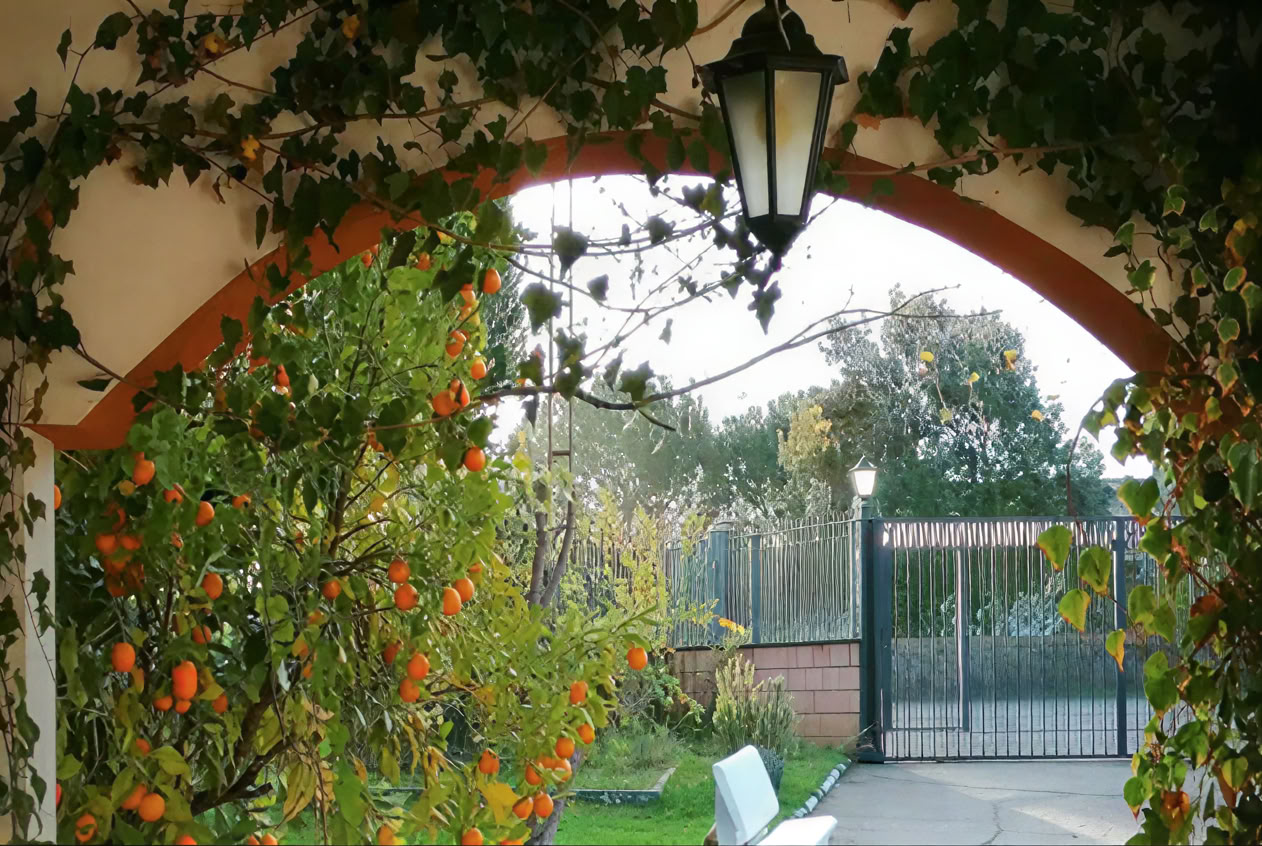 Casa Colibrí (Ganzheitliche Gesundheit)