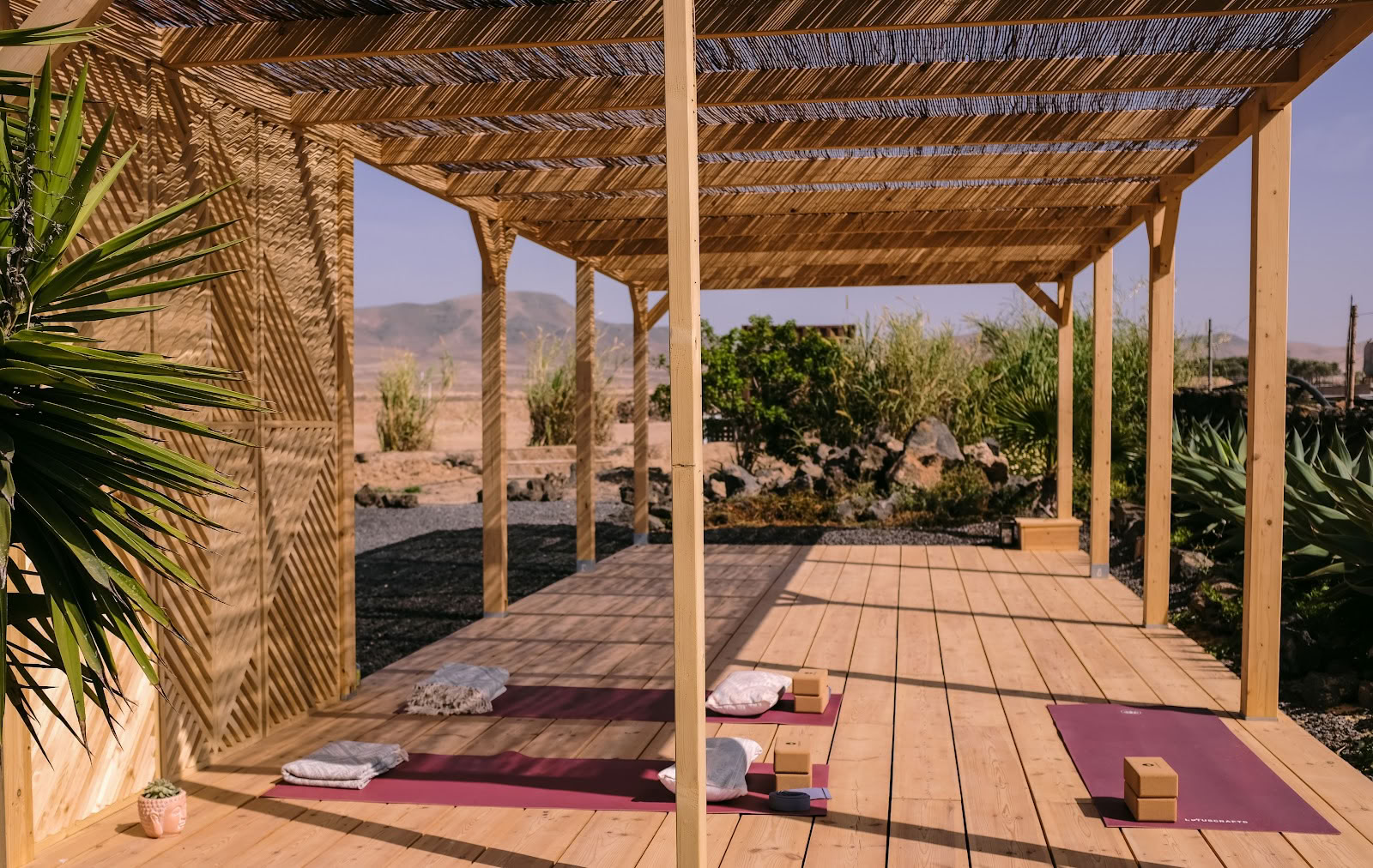 Surf & Yoga Retreats Fuerteventura