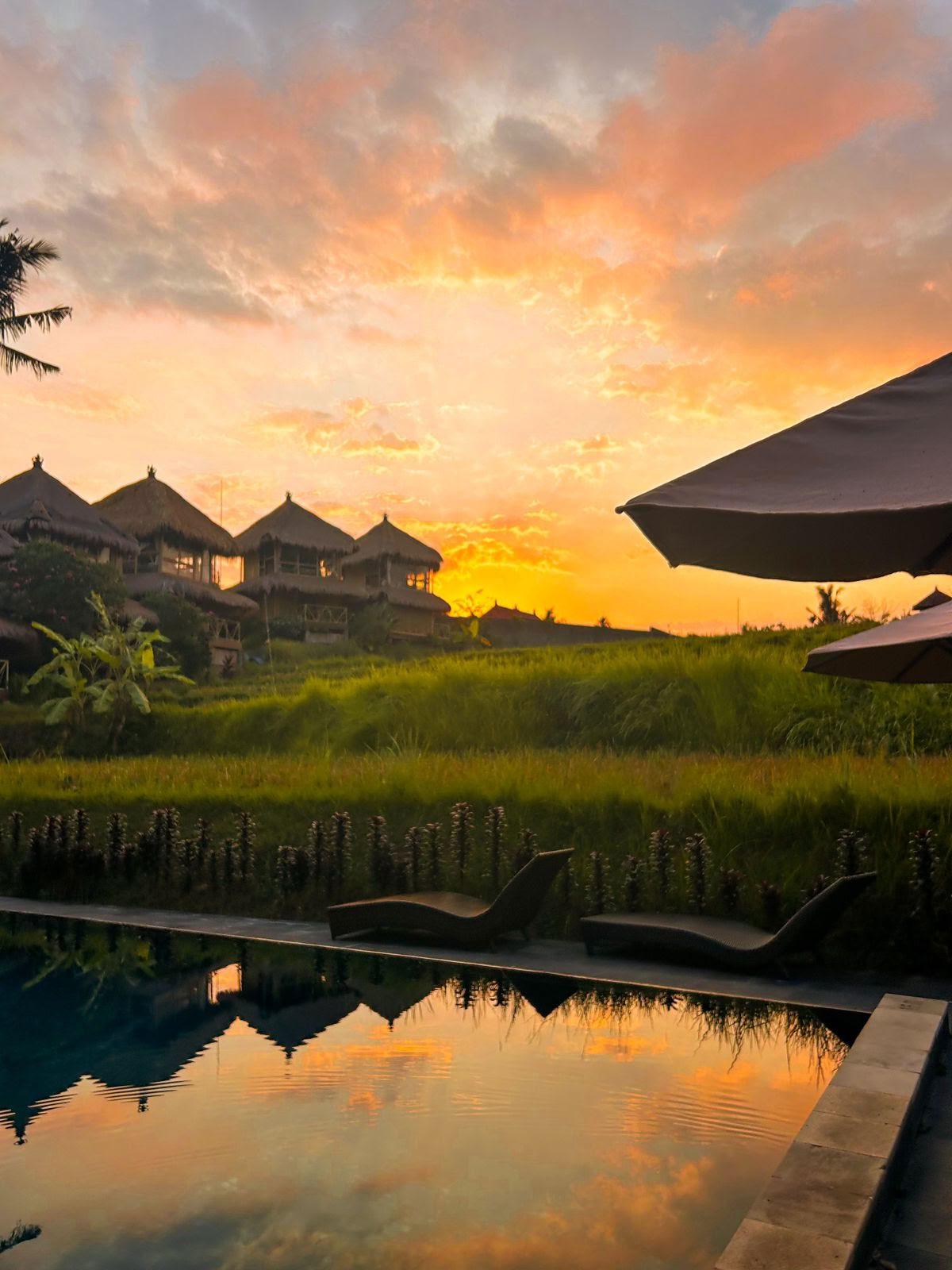 Shades of Yoga - Yoga Lehrertraining Bali