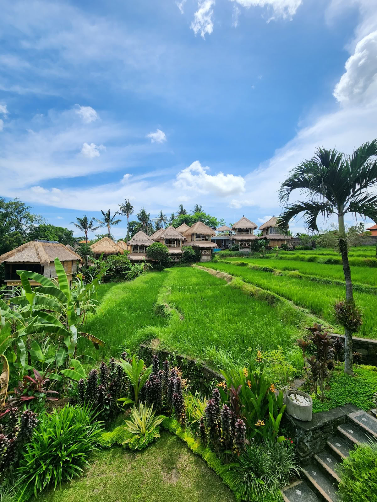 Shades of Yoga - Yoga Lehrertraining Bali