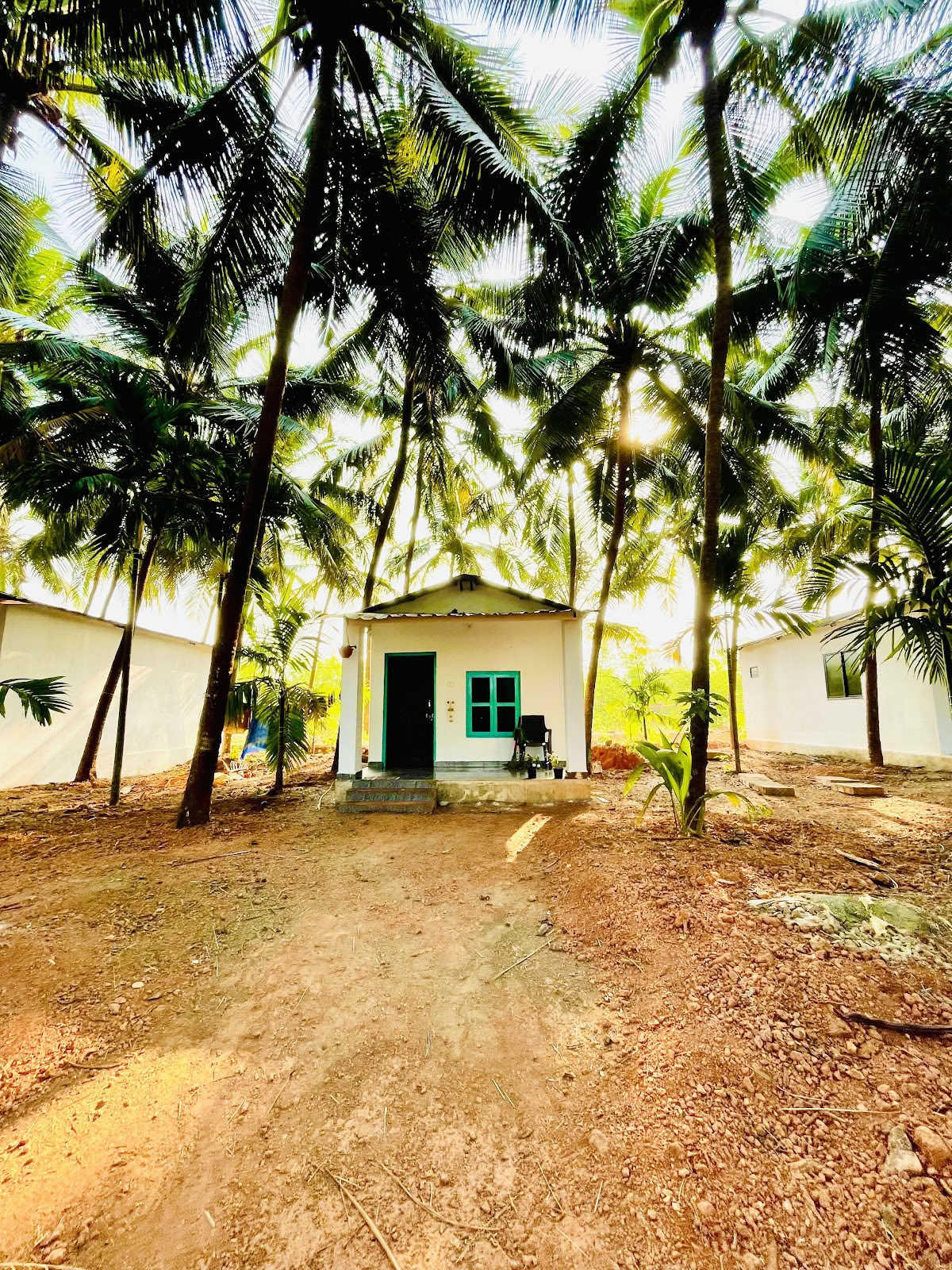 Tapas Yoga India| Beste Yogalehrer-Ausbildung und Yoga-Retreat in Indien