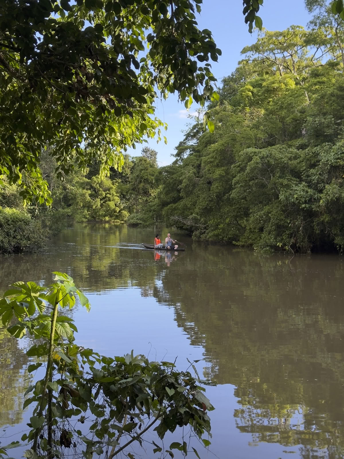 La Luna des Amazonas