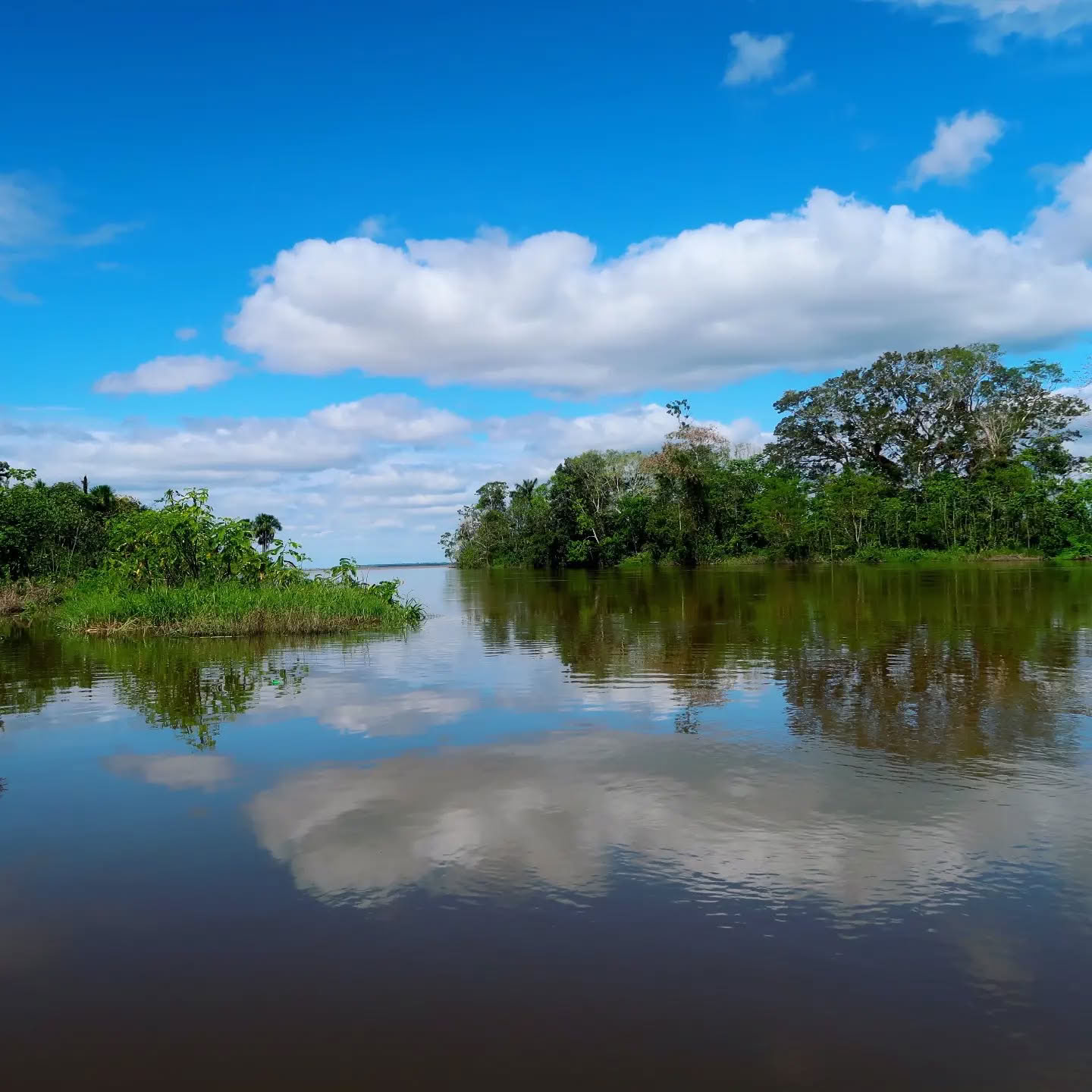 La Luna des Amazonas