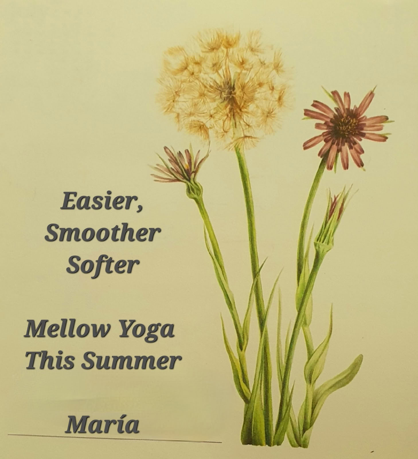 Yoga mit María | Sotogrande