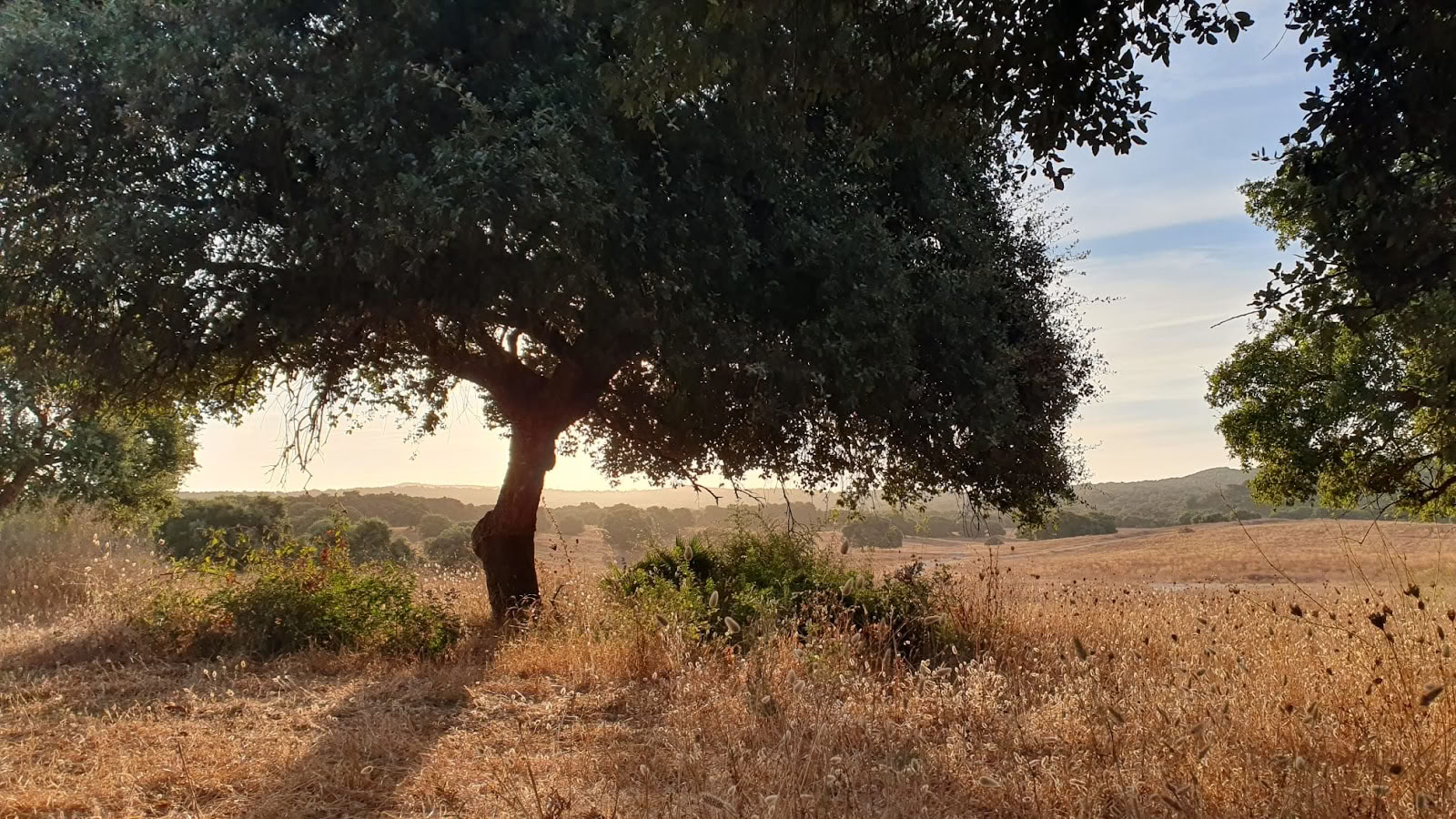 Yoga mit María | Sotogrande