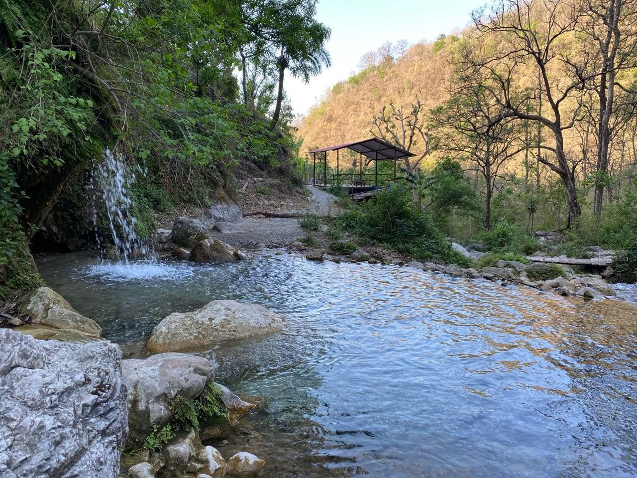 Mind Flow Harmony - Beste Yogalehrer-Ausbildungsschule in Rishikesh