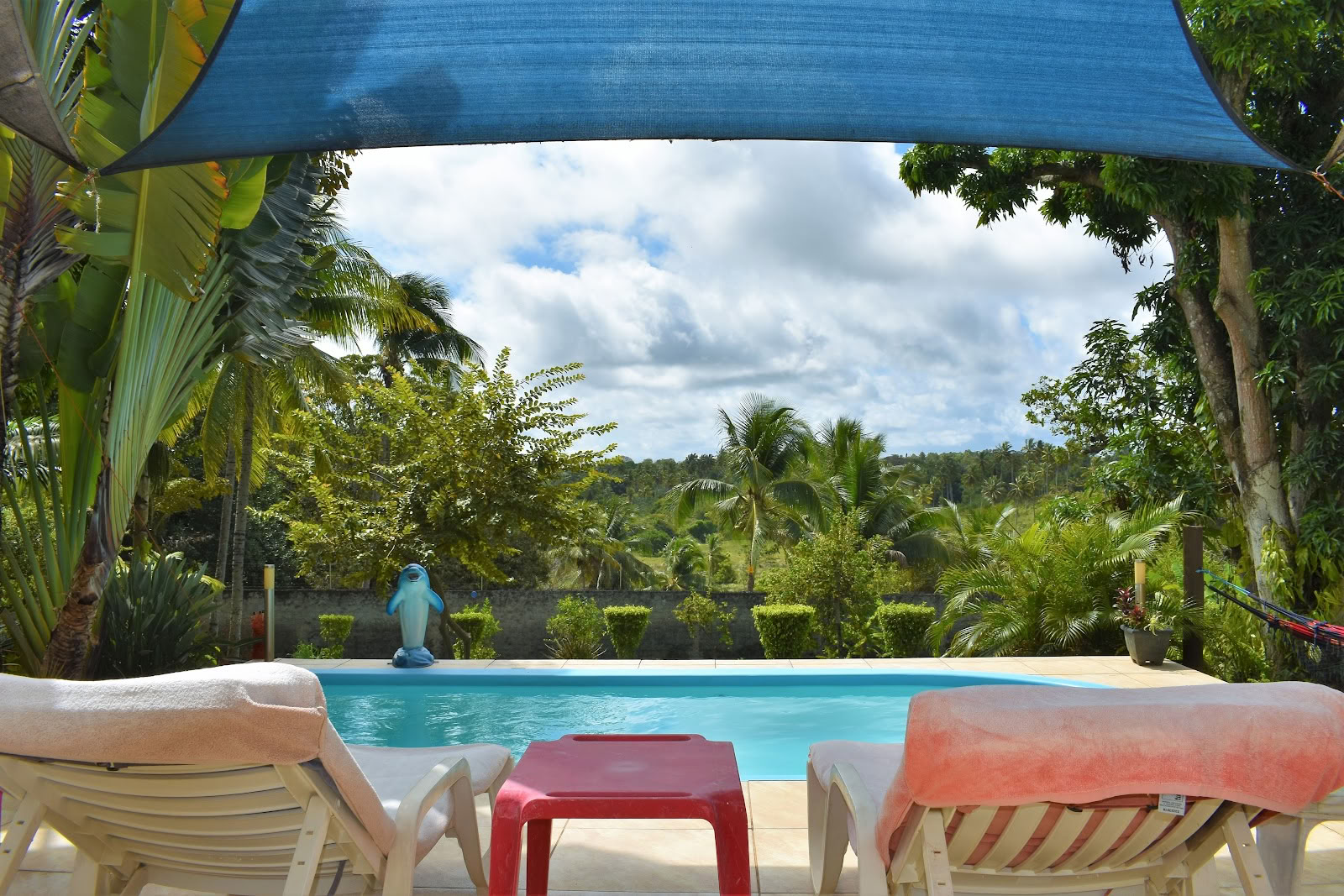 Ayahuasca Retreat Brasil