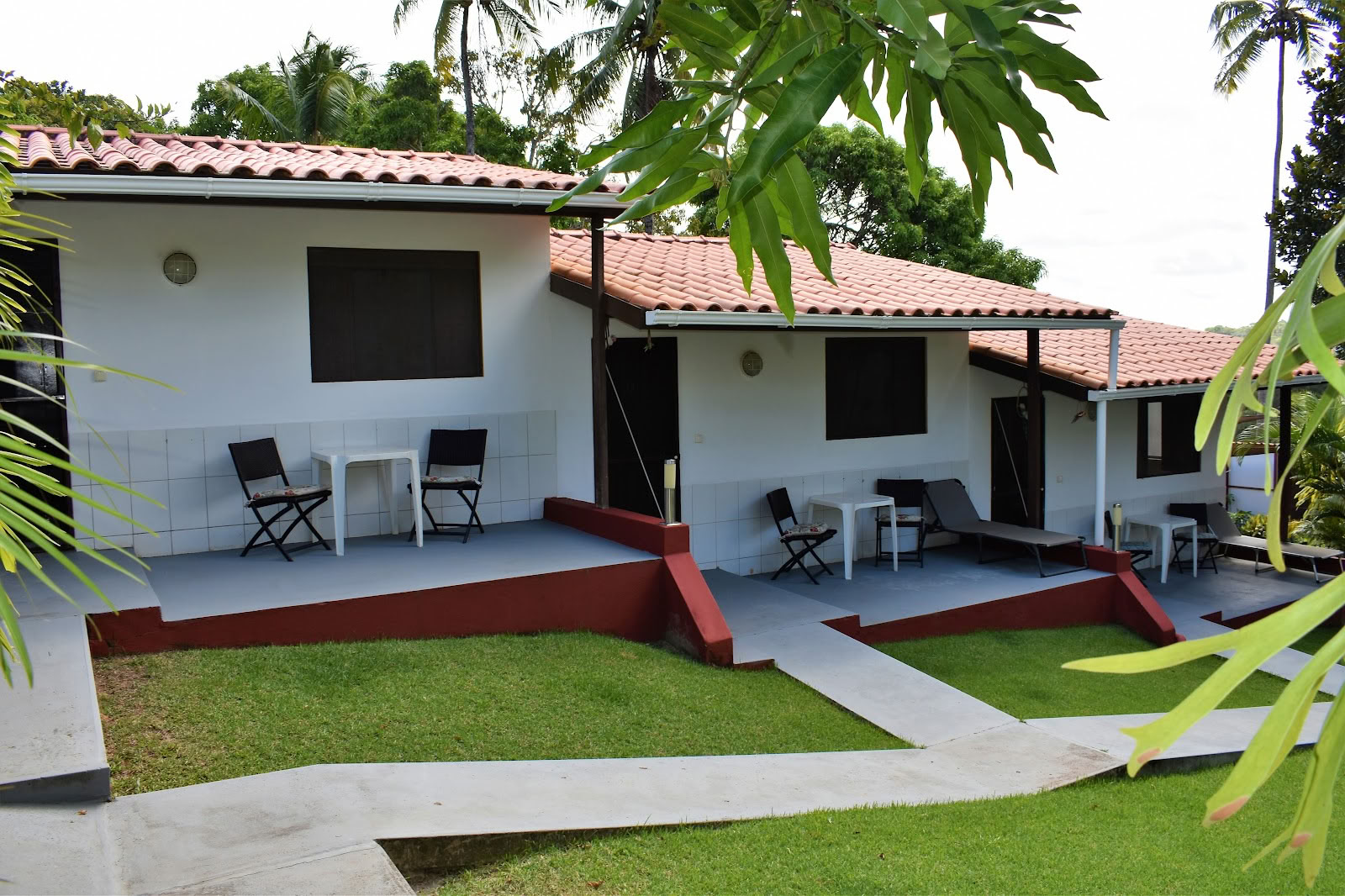 Ayahuasca Retreat Brasil