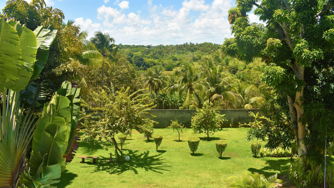 Ayahuasca Retreat Brasil