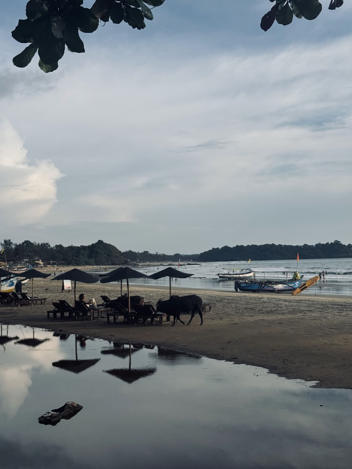 Brothers Ayurveda und Yoga Retreat