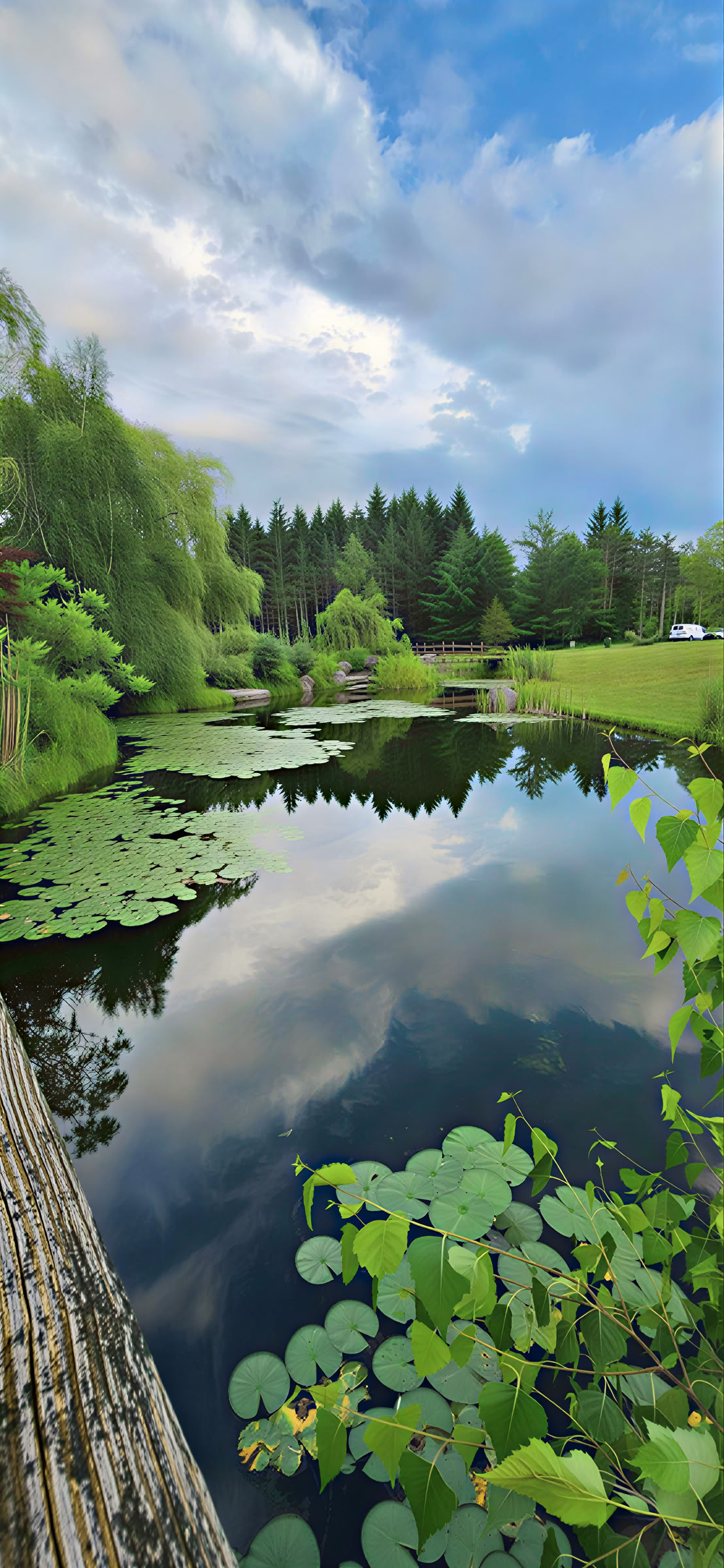 Body-Mind-Restoration-Retreats