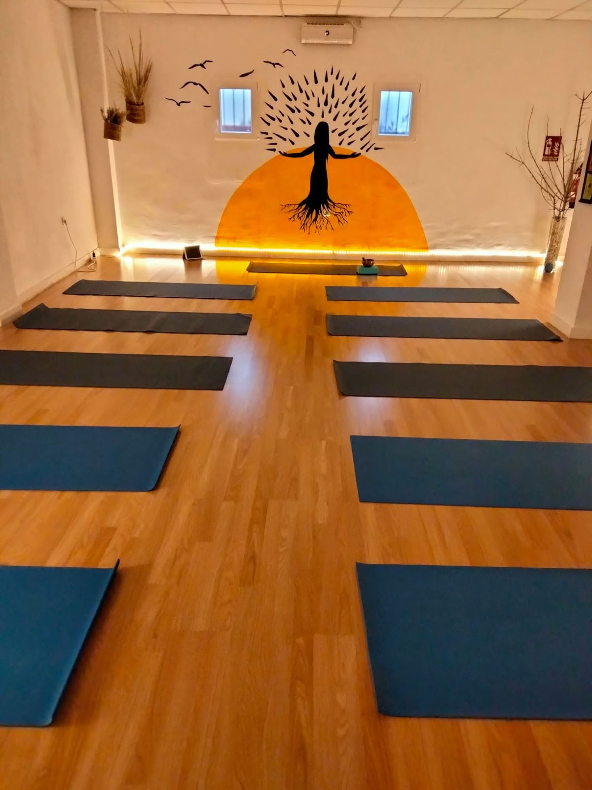 Alma y Tierra | Kräuterladen | Zentrum für Naturtherapien und Yoga