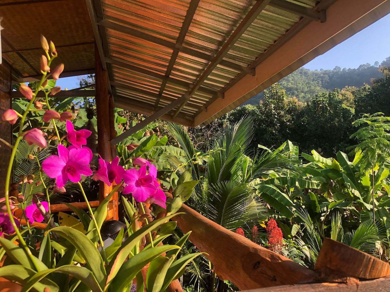 True Nature Chiang Mai - Yoga & Meditation Home Stay Retreat