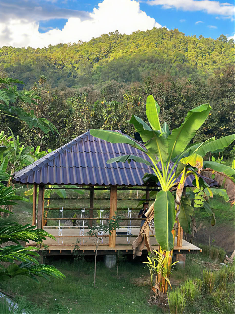 True Nature Chiang Mai - Yoga & Meditation Home Stay Retreat