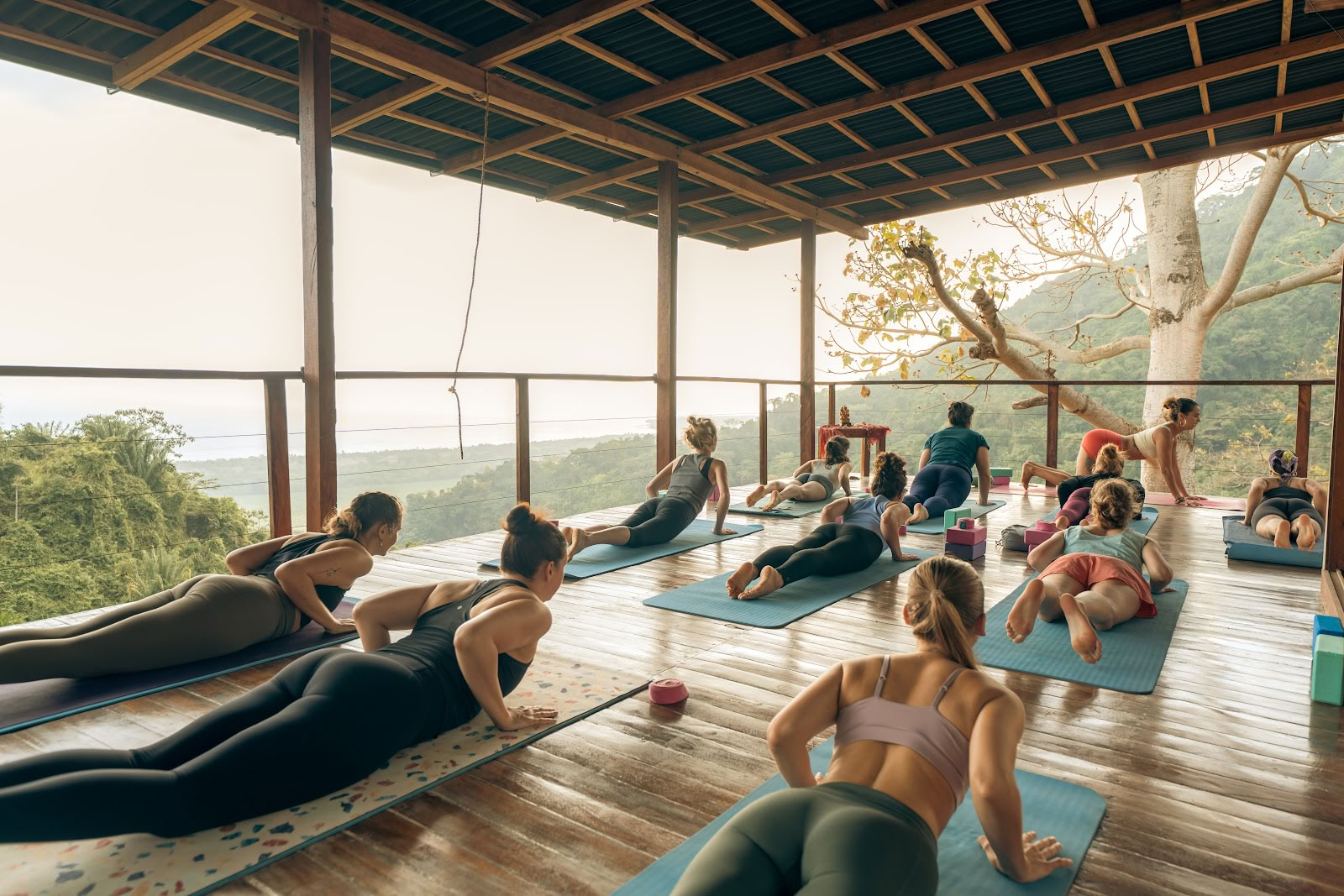 Ahimsa Yoga Schule