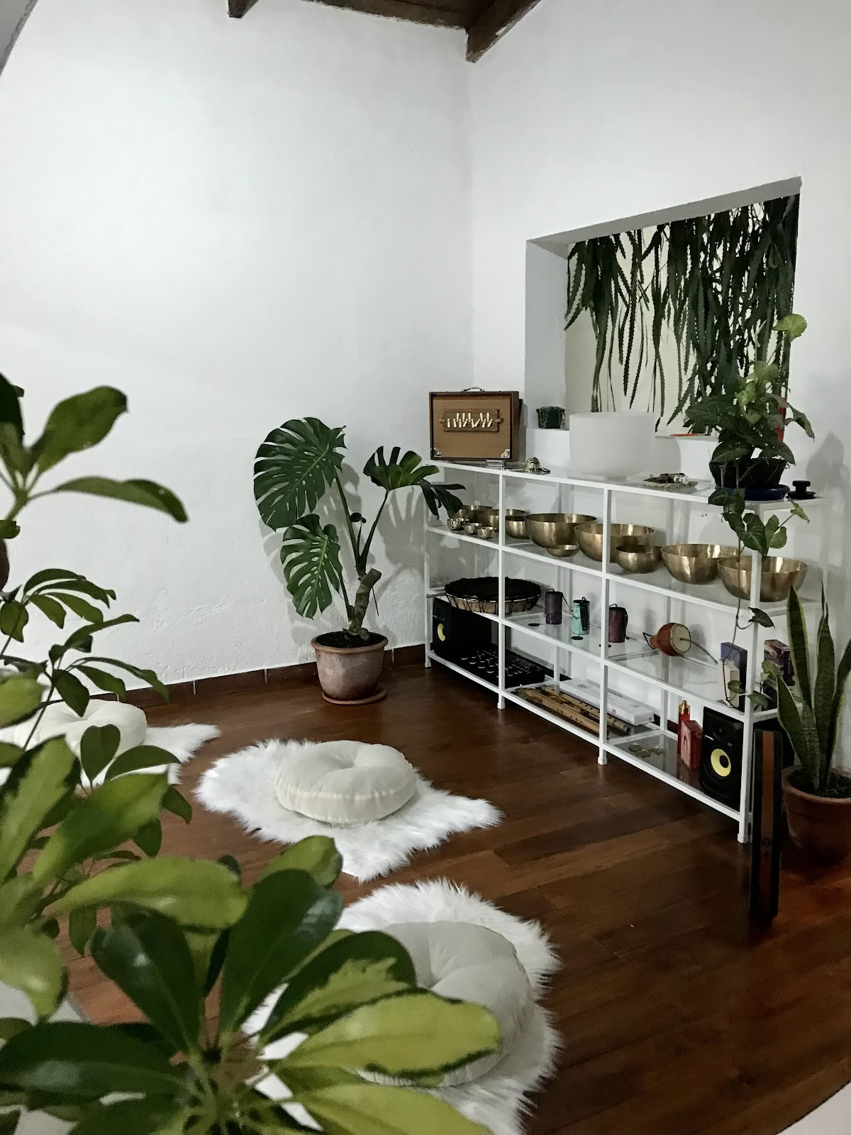 Holistic Bloom - Gesundheits- und Wellnesszentrum