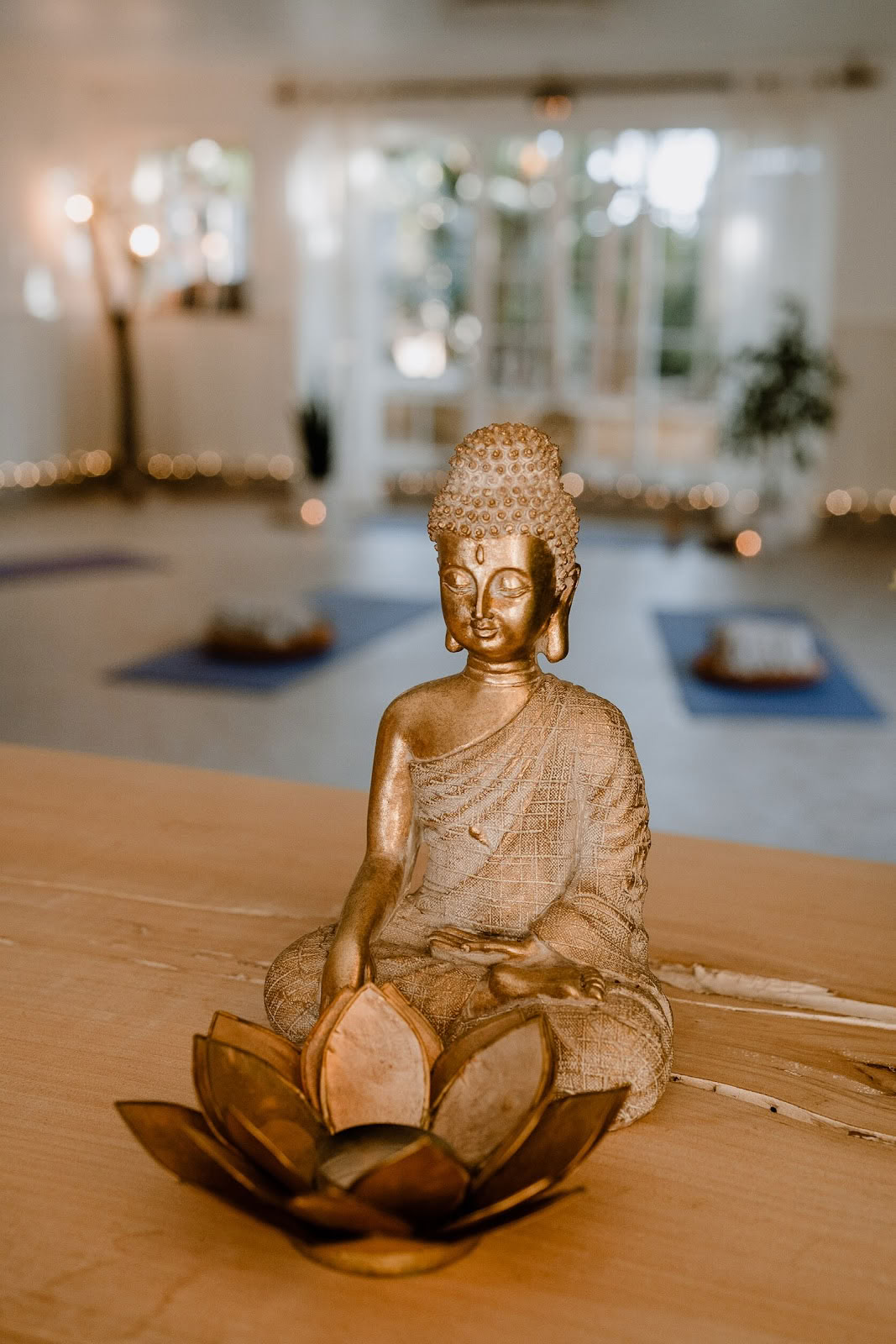 Transform to Bliss Yoga, Event- & Wellness-Space - Lagos, Algarve