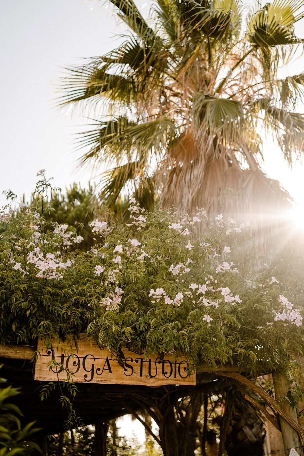 Transform to Bliss Yoga, Event- & Wellness-Space - Lagos, Algarve