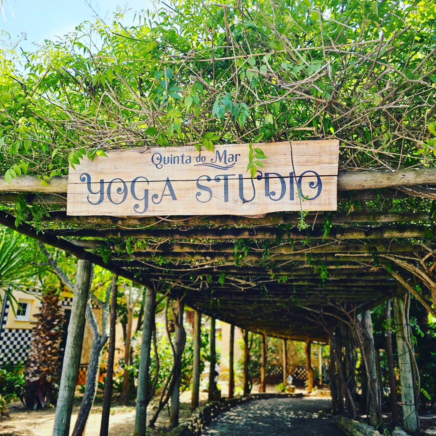 Transform to Bliss Yoga, Event- & Wellness-Space - Lagos, Algarve
