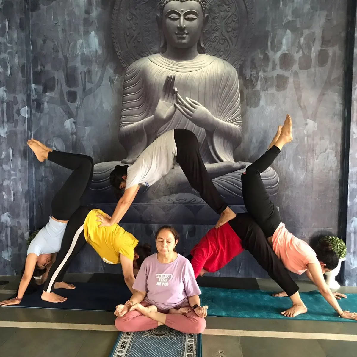 Sunshine yoga /Beste Yoga-Kurse in Amritsar /Yoga-Kurse in Amritsar /Yoga in Amritsar