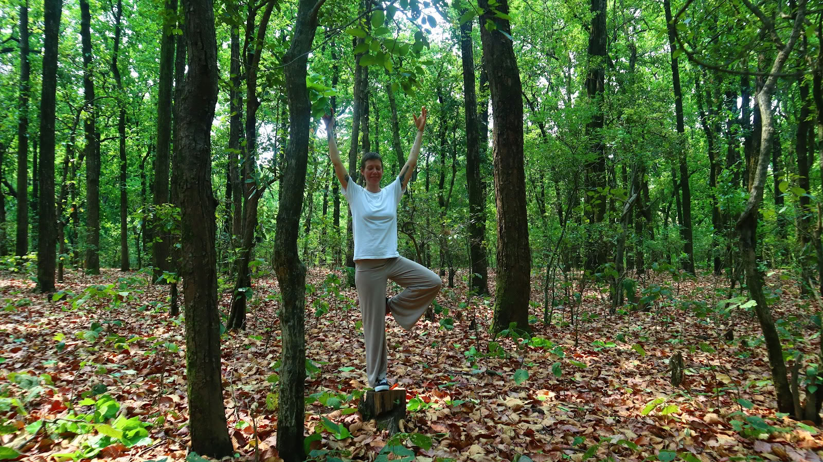 YOGA ESSENCE: Meditation Lehrertraining Ashram
