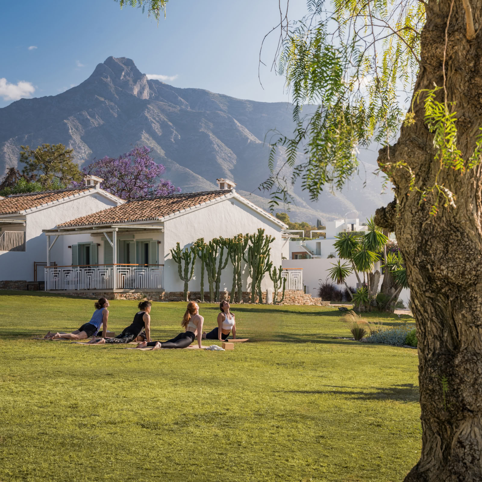 Boho Wellness · Health & Retreats