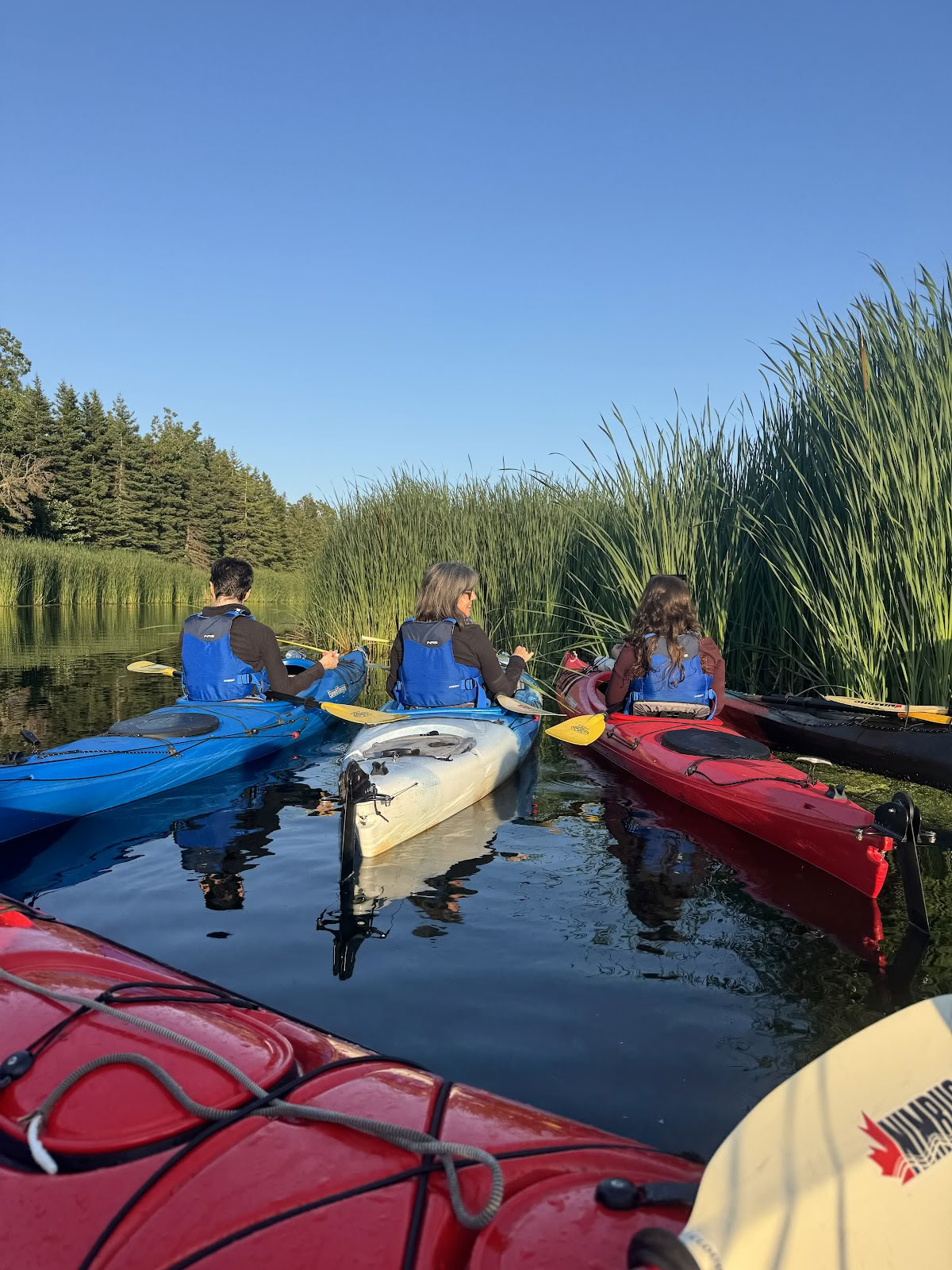 Naturraum-Resort & Retreat-Zentrum