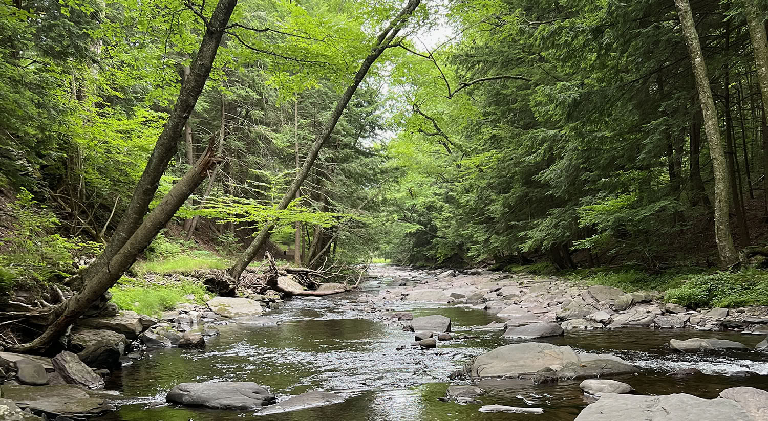 Spirituelles Retreat in der Natur im Blue Deer Center