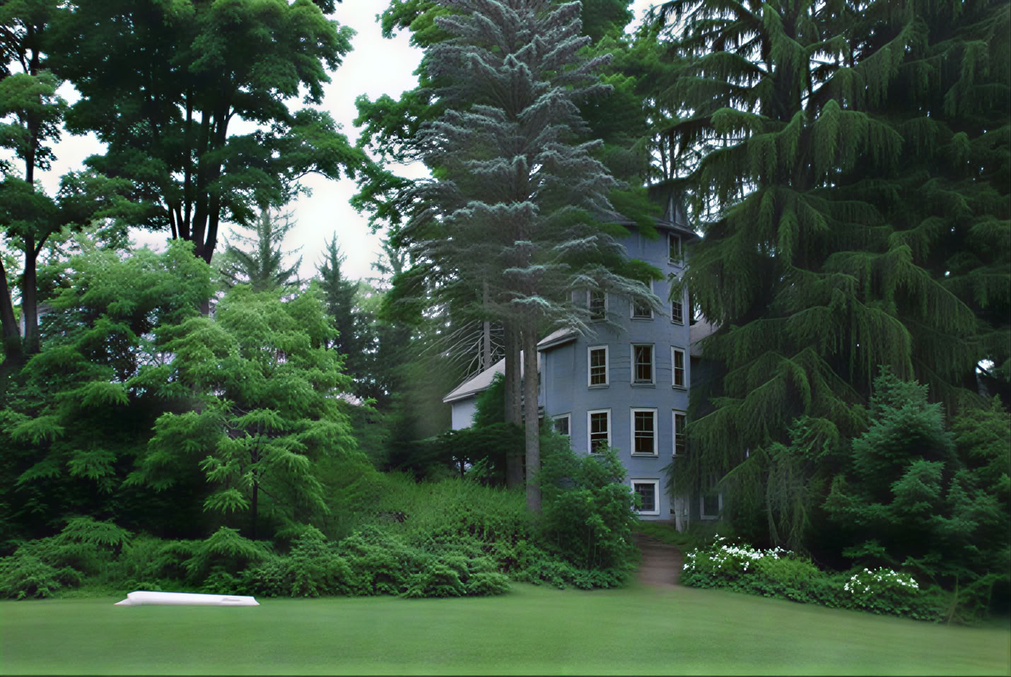 Spirituelles Retreat in der Natur im Blue Deer Center