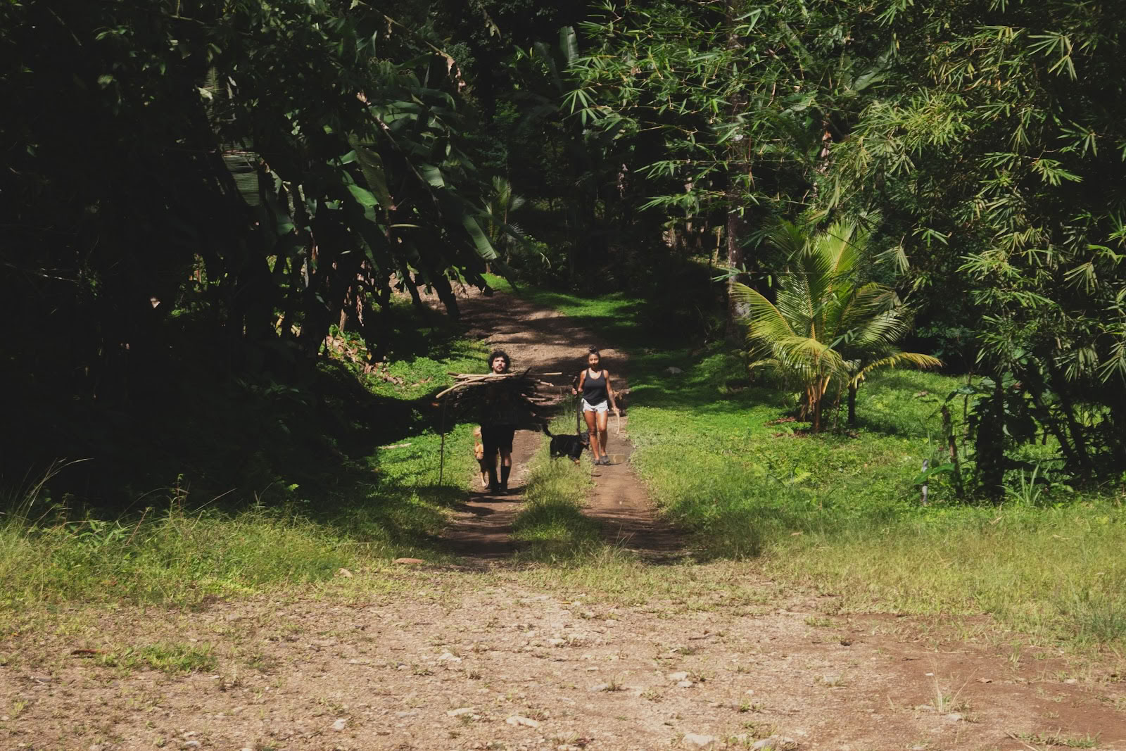 Finca Shambhala Organic