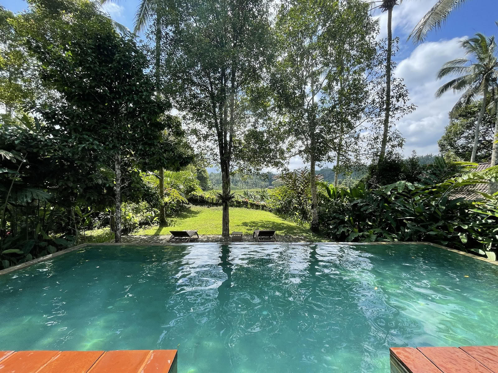 Clove Tree Hill - Bali Eco-Resort