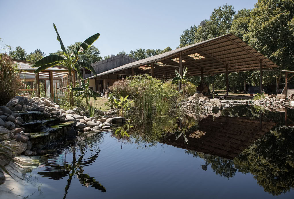 Hangar Project - Yoga & Surfen