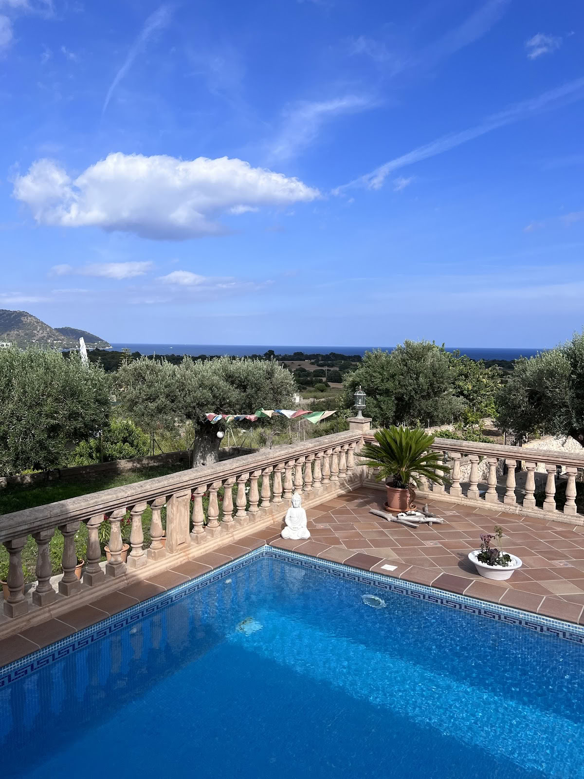 Ashram Mallorca | Atemreisen | EMDR & Hypnose | Coaching | Herzöffnung & Visionsarbeit