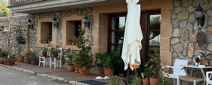 Ashram Mallorca | Atemreisen | EMDR & Hypnose | Coaching | Herzöffnung & Visionsarbeit