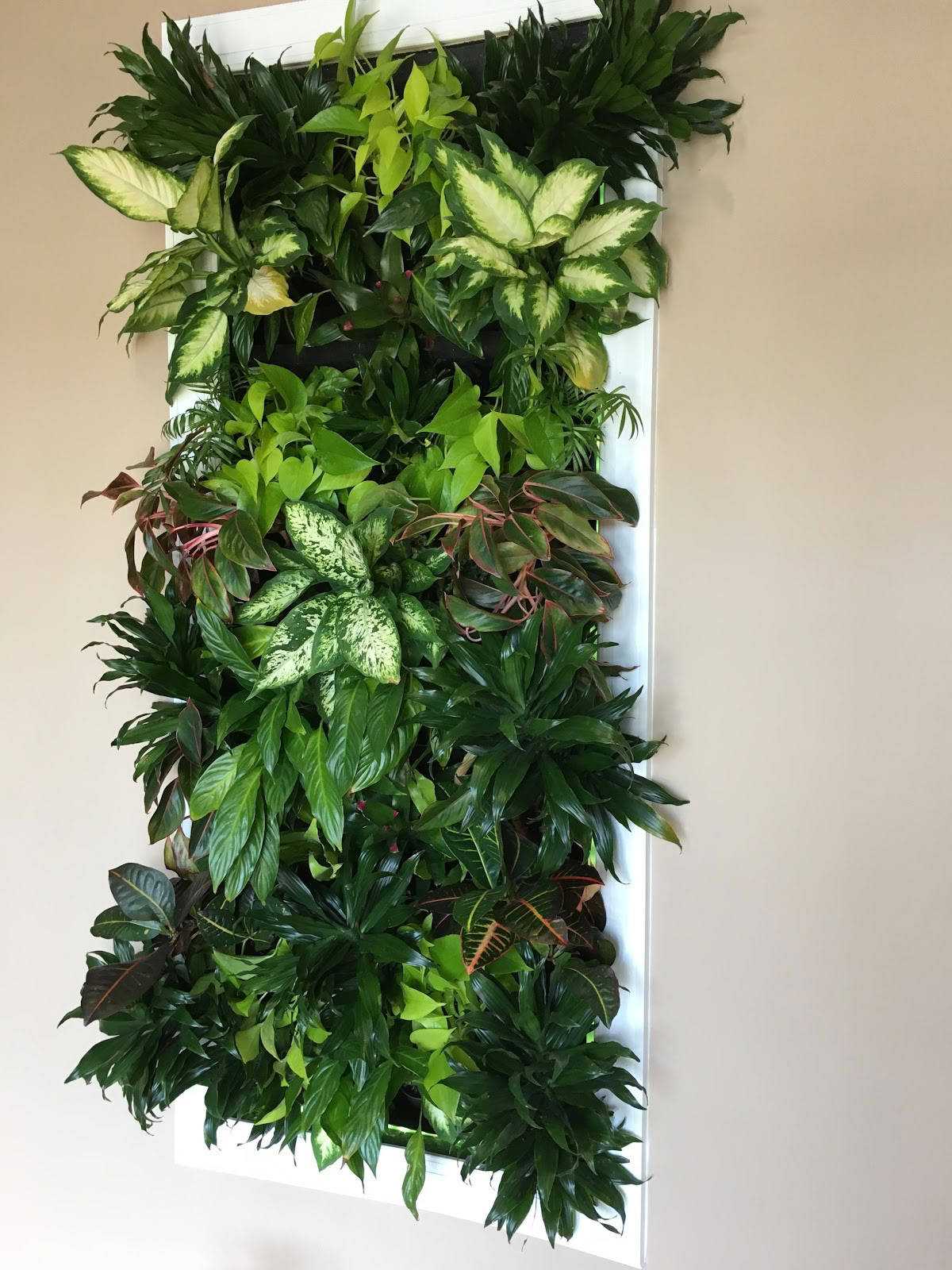 Mystisches Flow-Wellness-Center
