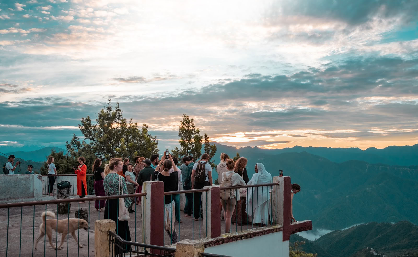 Samadhi Yoga Ashram - Die beste Yogaschule in Rishikesh, Indien