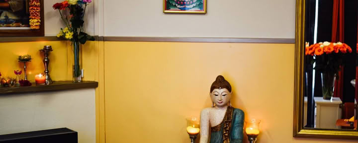 Ayurveda-Palmen