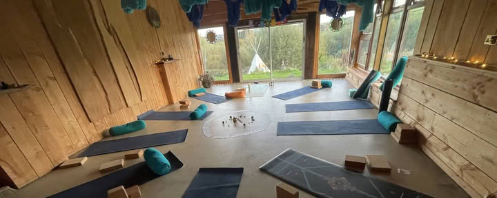 Blühen & Wachsen Yoga