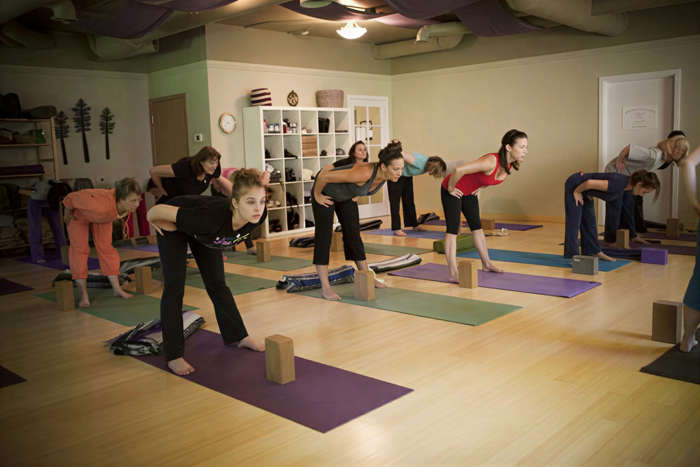 Drei Bäume Yoga