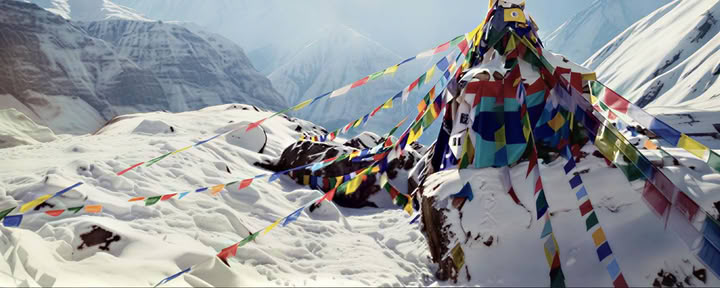 Abenteuer-Trekkings aus Treibholz