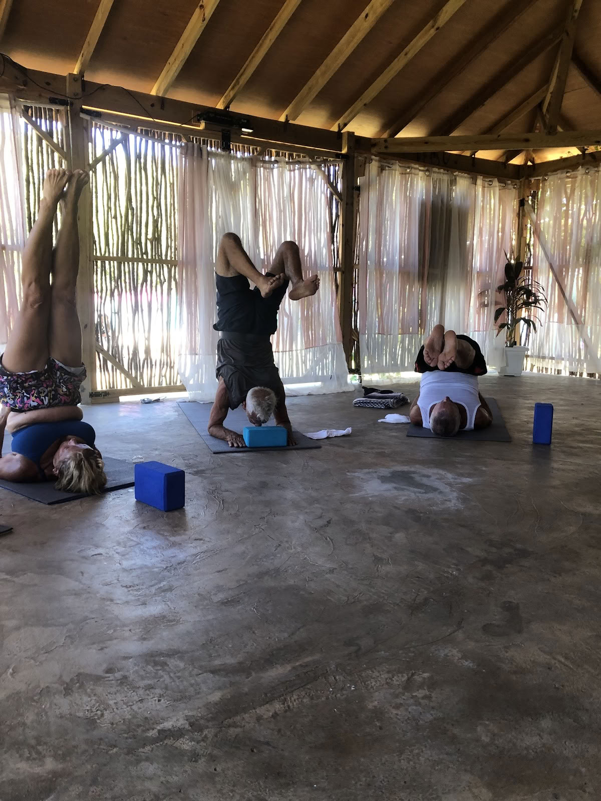Weises Wellness - Yoga-Zentrum / Day Spa und iTal Mama Veganes Café
