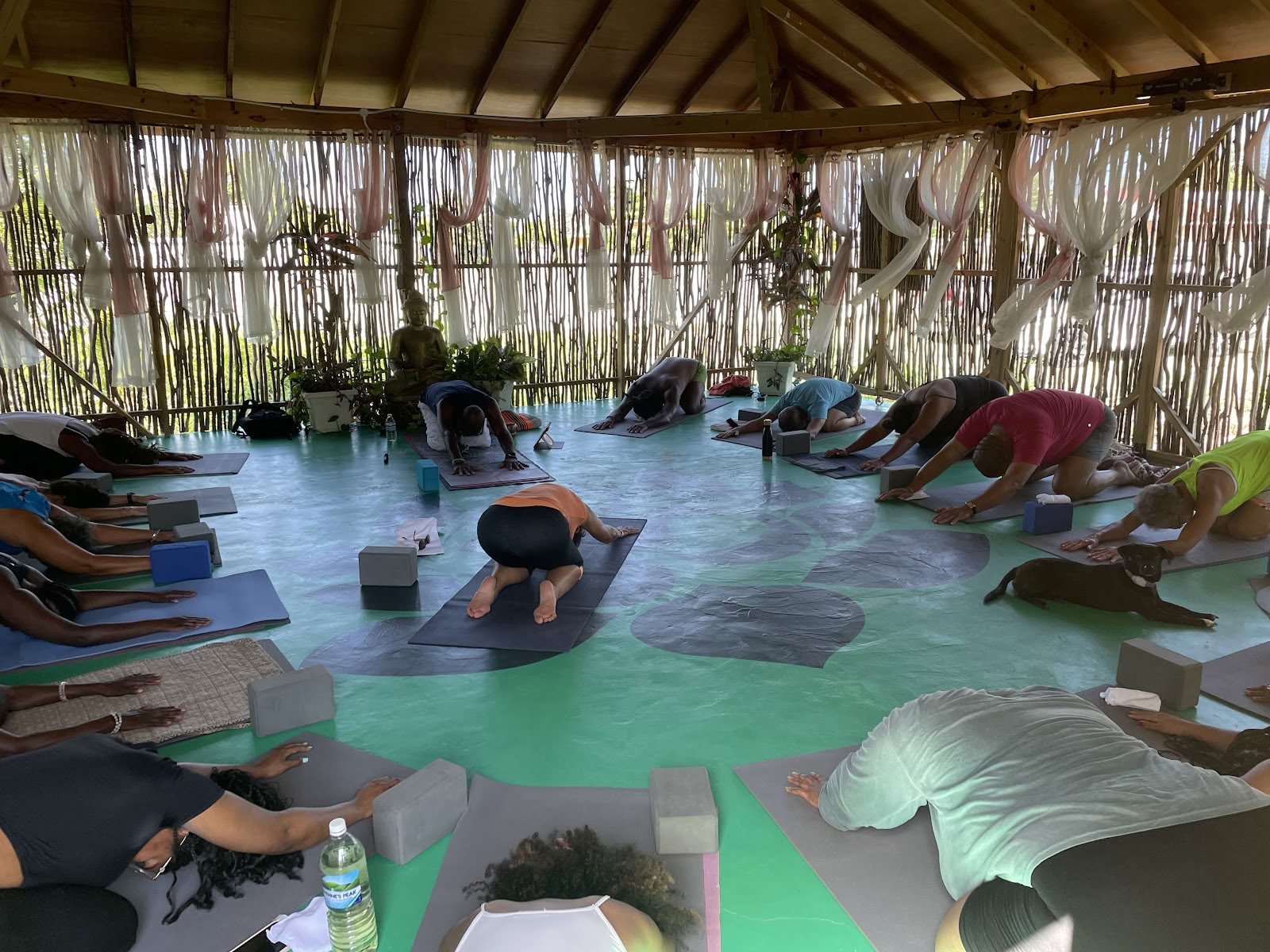 Weises Wellness - Yoga-Zentrum / Day Spa und iTal Mama Veganes Café
