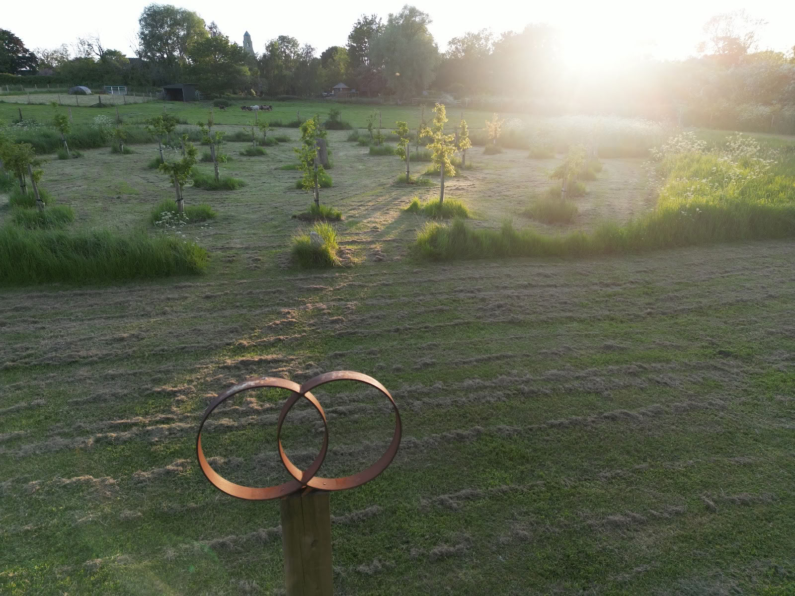 Heilungsfeld