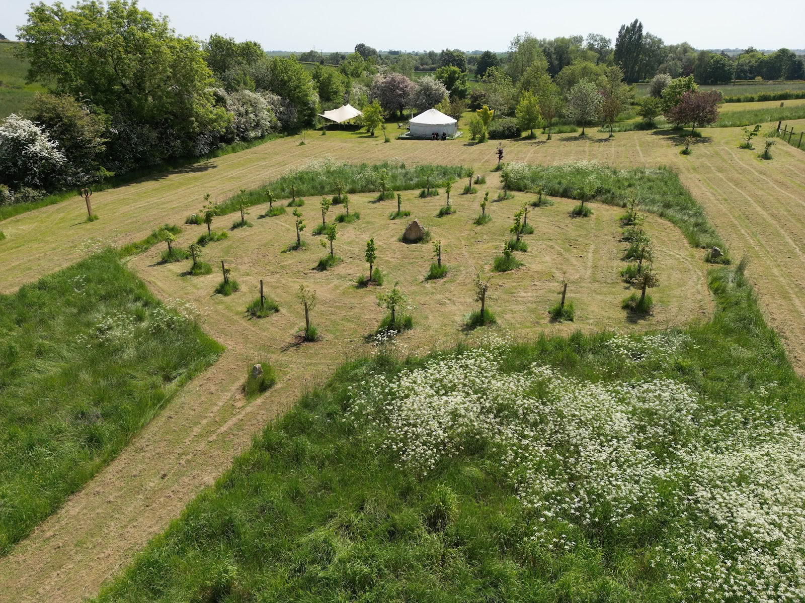 Heilungsfeld