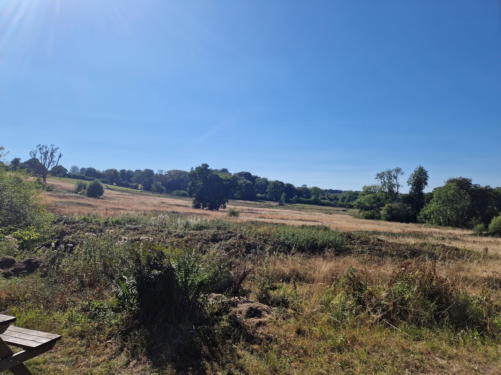 Oakhill-Teiche