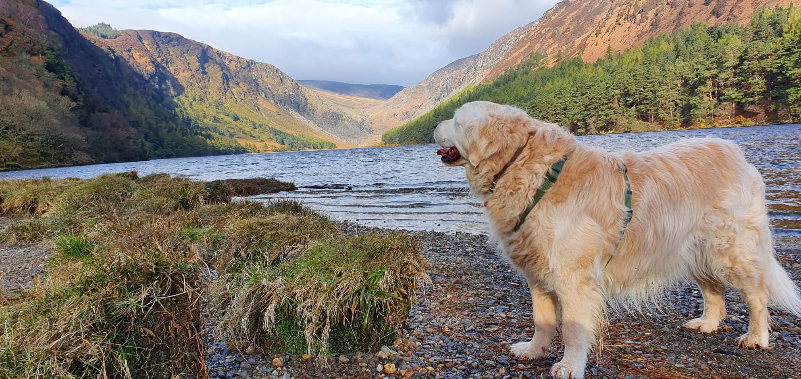 Glendalough-Heiligtum