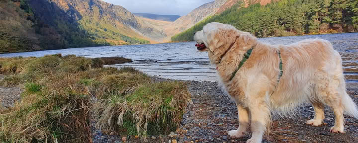 Glendalough-Heiligtum