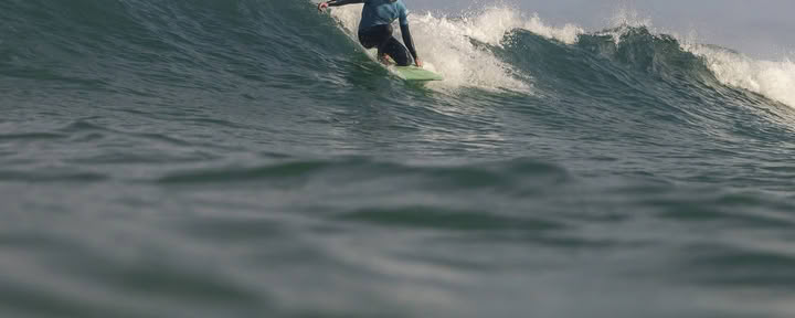 Rewild Surf-Schule