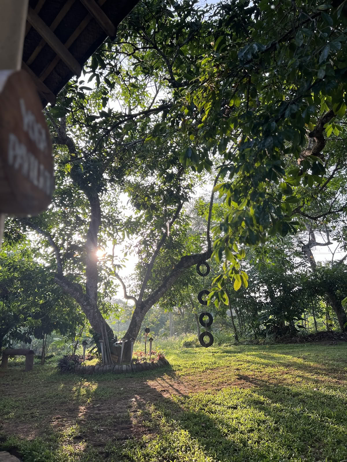 Senses - Yoga-Studio & Yogalehrerausbildung
