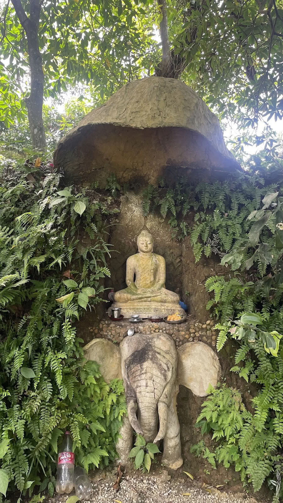 Senses - Yoga-Studio & Yogalehrerausbildung